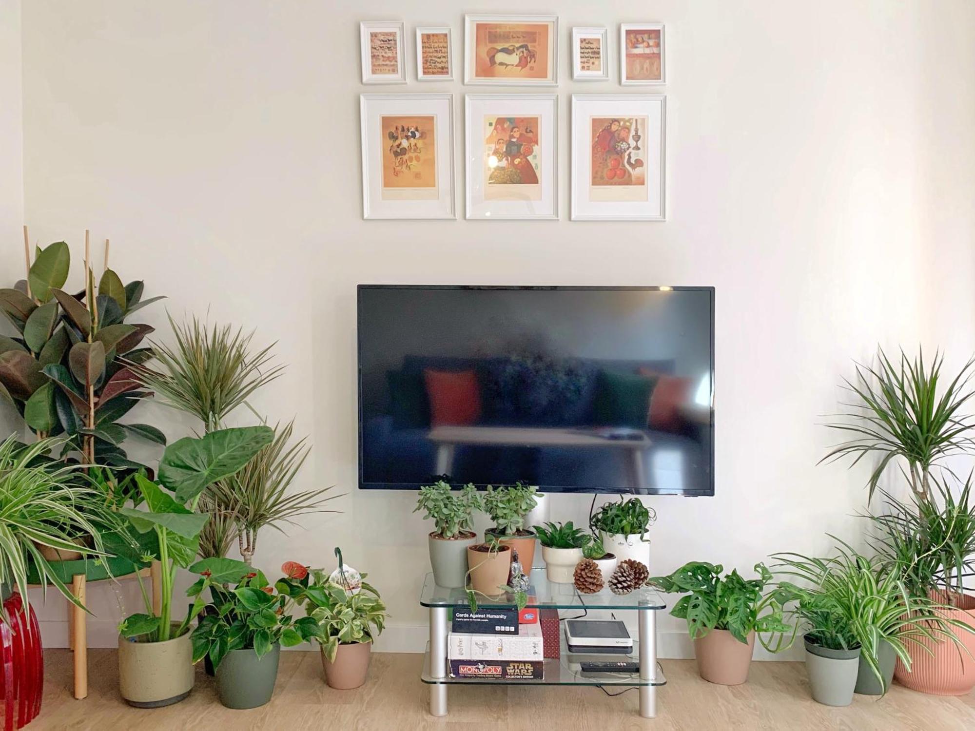 Charming Flat In Bermeo's Old Town- Nardiz Apartament Bermeo